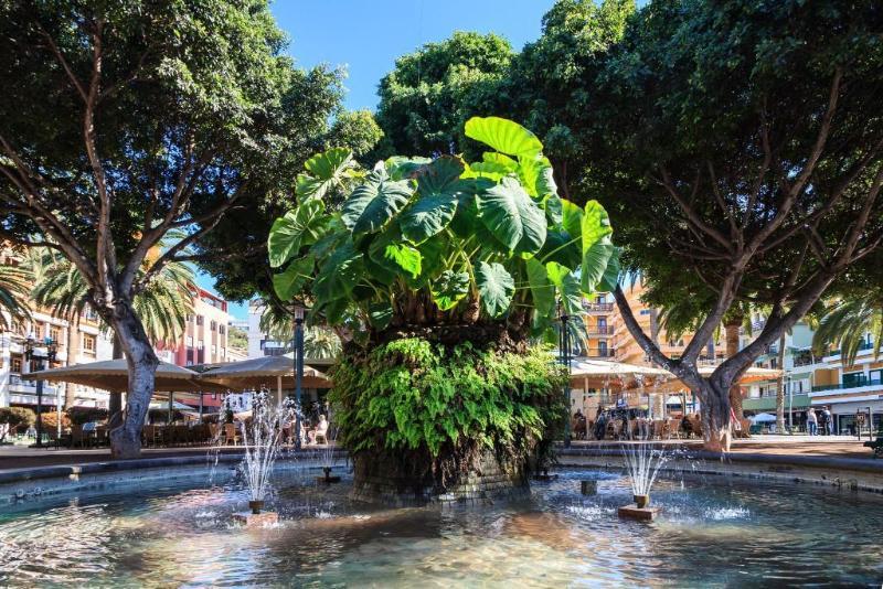 Отель Dwo Nopal Пуэрто-де-ла-Крус Экстерьер фото